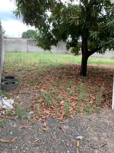 Casa en venta en Durán - foto 5