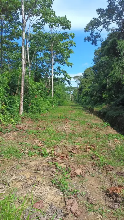 Terreno en venta en Tiwintza - foto 2