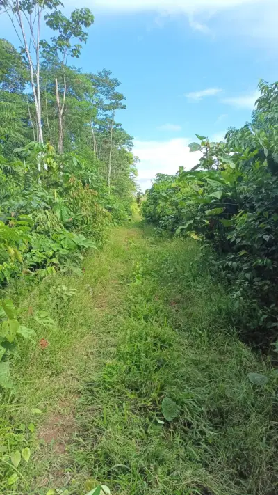 Terreno en venta en Tiwintza - foto 3