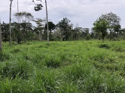 Terreno en venta en Tiwintza - foto 4